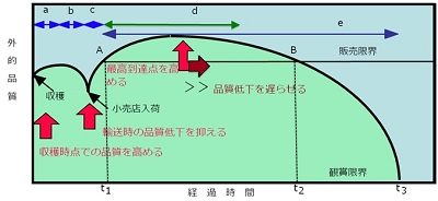 sendohoji.jpg